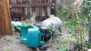 MVI_1317.AVI