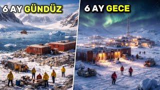 Dünyanın En Soğuk Kıtası Antarkti̇ka Hakkında Tüm Gerçekler