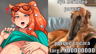 VIDEOS RANDOM | MEMES COMPILATION | SHITPOST COMPILATION | SI TE RIES PIERDES