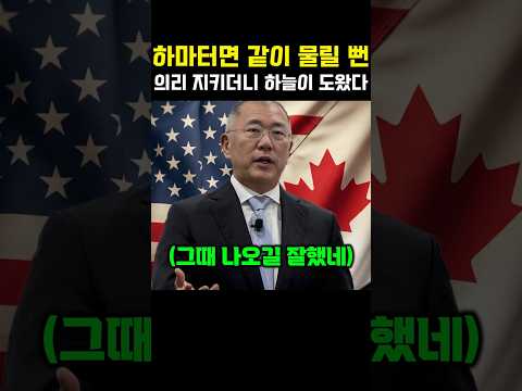 미국 캐나다 관세폭탄, '하마터면 같이 물릴 뻔' 의리 지키더니 하늘이 도운 현대차 정의선의 근황 #이재명 #정의선 #현대차 #더불어민주당 thumbnail