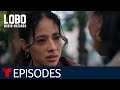Lobo Morir Matando: Eugenio's Freedom | Episode 32 | Telemundo English