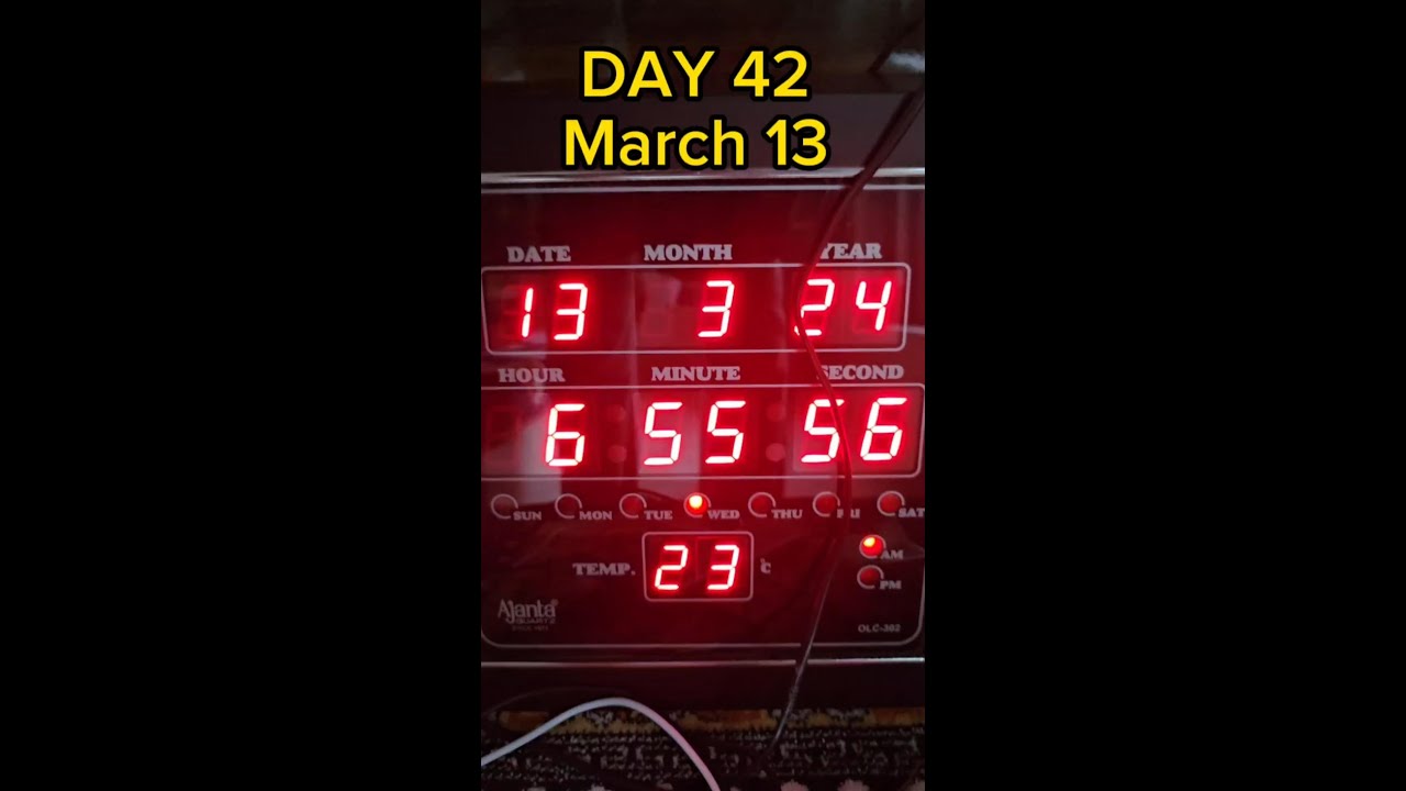 Day 42 13.03.2024 - YouTube