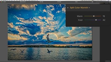 Luminar 2018 - Tips & Tricks: Episode 3 Split Color Warmth