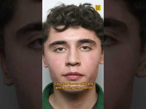 Manhunt underway for