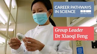 Career Pathways in Science: Group Leader Dr Xiaoqi Feng