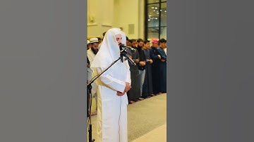 صلاة التراويح  القارئ رعد الكردي 29 رمضان 1446 -2025 مسجد امام شافعي