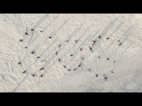 SOS ! #გადავარჩინოთზამთარი