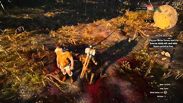 Witcher 3 : the Wild Hunt; Missing in Action