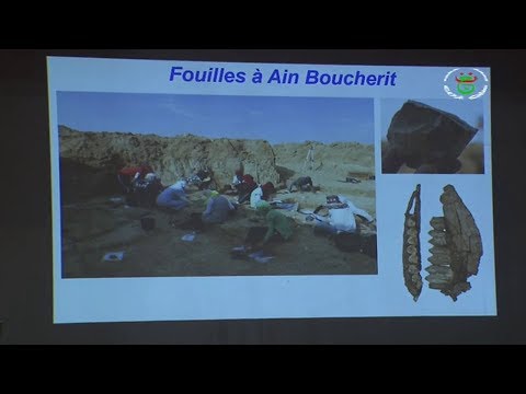 الجزائر مهد البشرية إكتشاف أثري في ولاية سطيف يشغل العالم