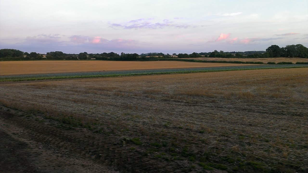 DIY Night Vision field test