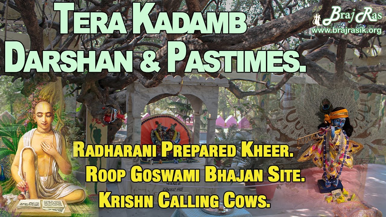 Ter Kadamba Darshan & Pastimes | Braj Ras