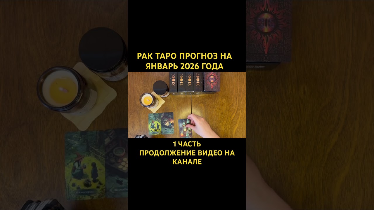 #рактаро