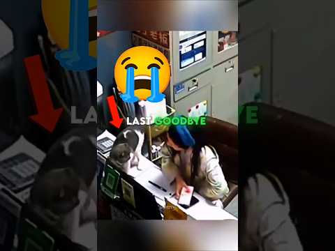 تحدي البكرات