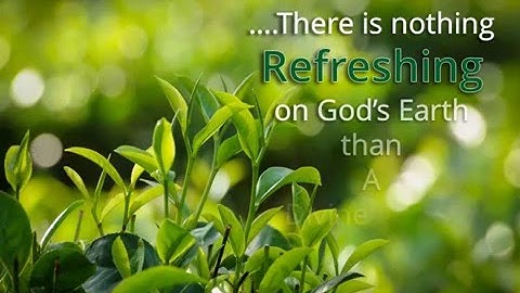 Tea Video powerpoint presentation