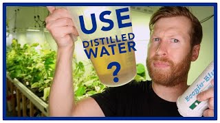 Why I DON'T USE FILTERED WATER on my PLANTS