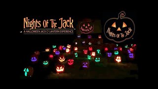 Disney Characters Carved into Some Pumpkins!