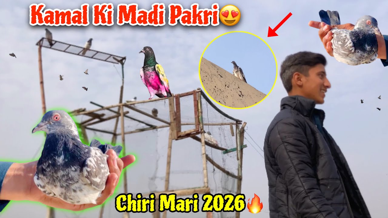 Aj To End Ho Gea 🔥Kamaal Ki Madi Pakr Li Bht Dino Bad 😍