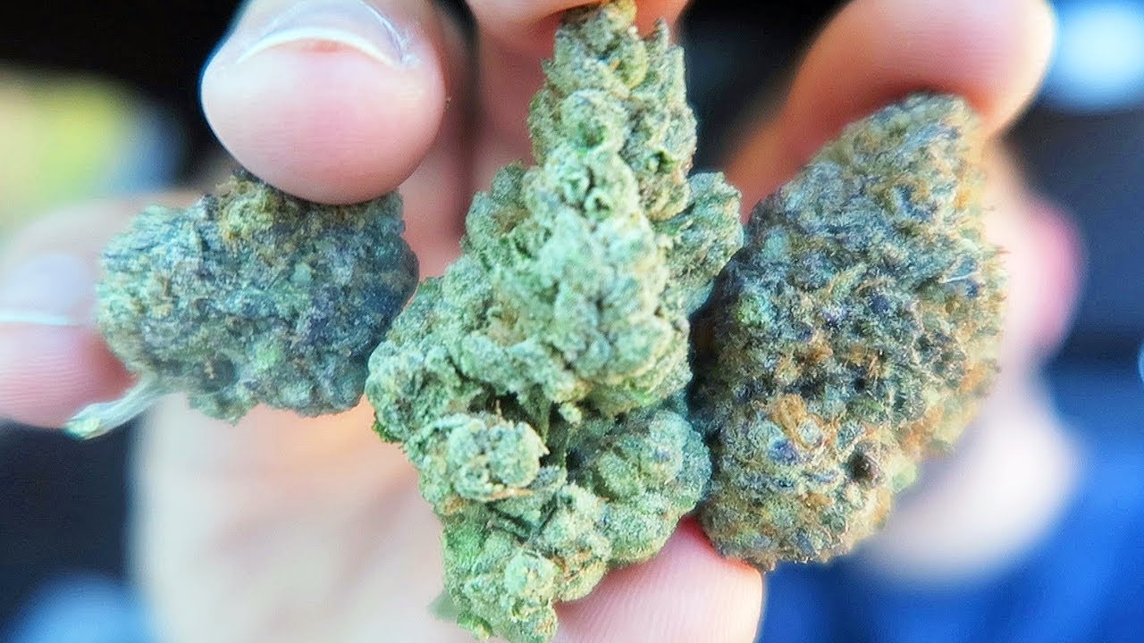 FRUIT SALAD JOINT SESH!!