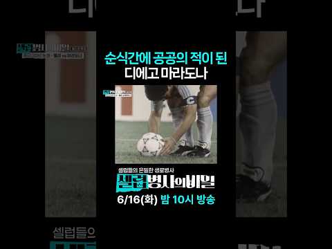 '나폴리의 신'에서 '이탈리아의 원수'로
