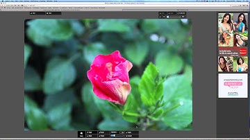 Pixlr Express Review