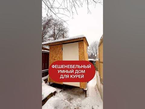 Умный курятник. Строили сами. - YouTube