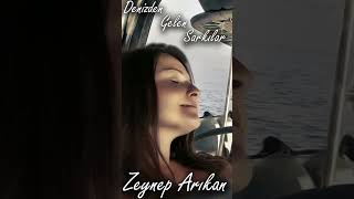 Olmaz İklimler Zeynep Arıkan Resimi