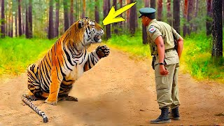 The tiger begs the soldier for help, but the reason behind it surprised everyone!