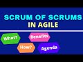 Scrum of Scrums Meeting |  Scrum of Scrums AGENDA | BEST PRACTICES and FREQUENCY of Scrum of Scrums