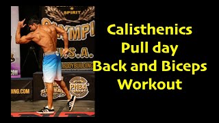 Calisthenics Athlete Pull Day Training[Back and Biceps Workout] Superset and Breakdown Set