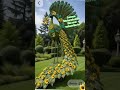allah like and subscribe to