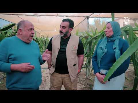 دخل الدونم الواحد ١٠٠ الف بالسنة روابي فرح