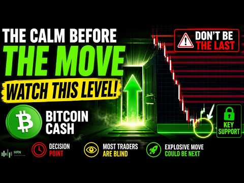 Waarom Bitcoin Cash Kiezen bij Spinorhino?