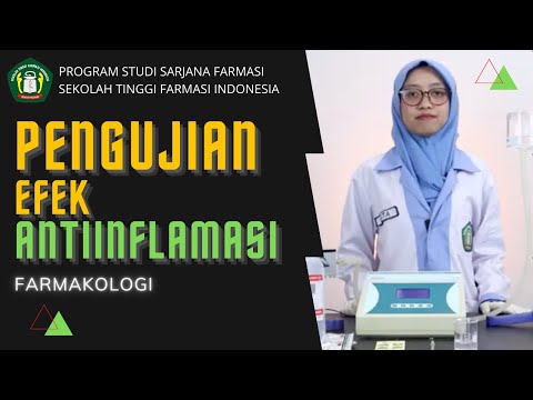 Video: Efek Anti-inflamasi Dari Ekstrak Metanol Dictamnus Dasycarpus Turcz. Kulit Akar Pada Psoriasis Yang Disebabkan Imiquimod