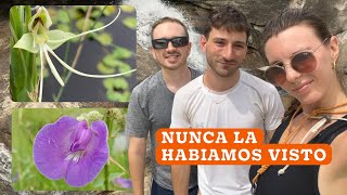 Encontramos una orquídea exótica! Y varias flores nativas que necesitan poca agua ft. Lu Peirone