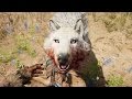 FAR CRY PRIMAL - DOMANDO EL LEGENDARIO LOBO SANGRE DE NIEVE #9