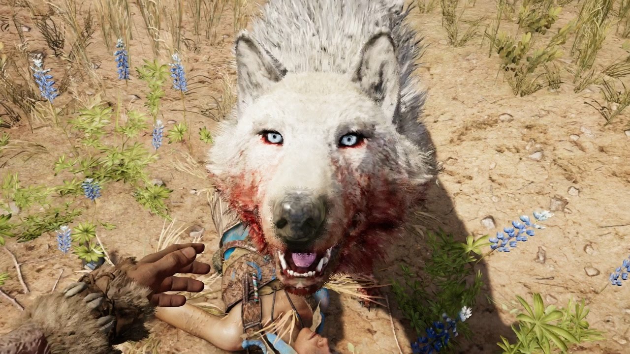 FAR CRY PRIMAL - DOMANDO EL LEGENDARIO LOBO SANGRE DE NIEVE #9 - YouTube