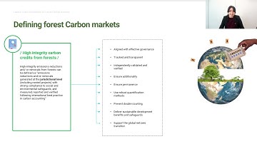 Learning Journal: Forest Carbon Markets