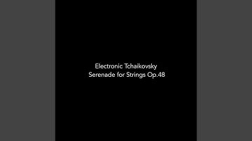 Serenade for Strings in C Major, Op. 48: 3. Élégie