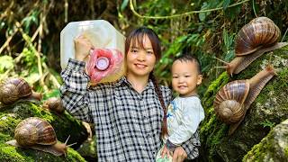 She harvested 1,000 giant snails and brought them home to cook with her son.daily life.