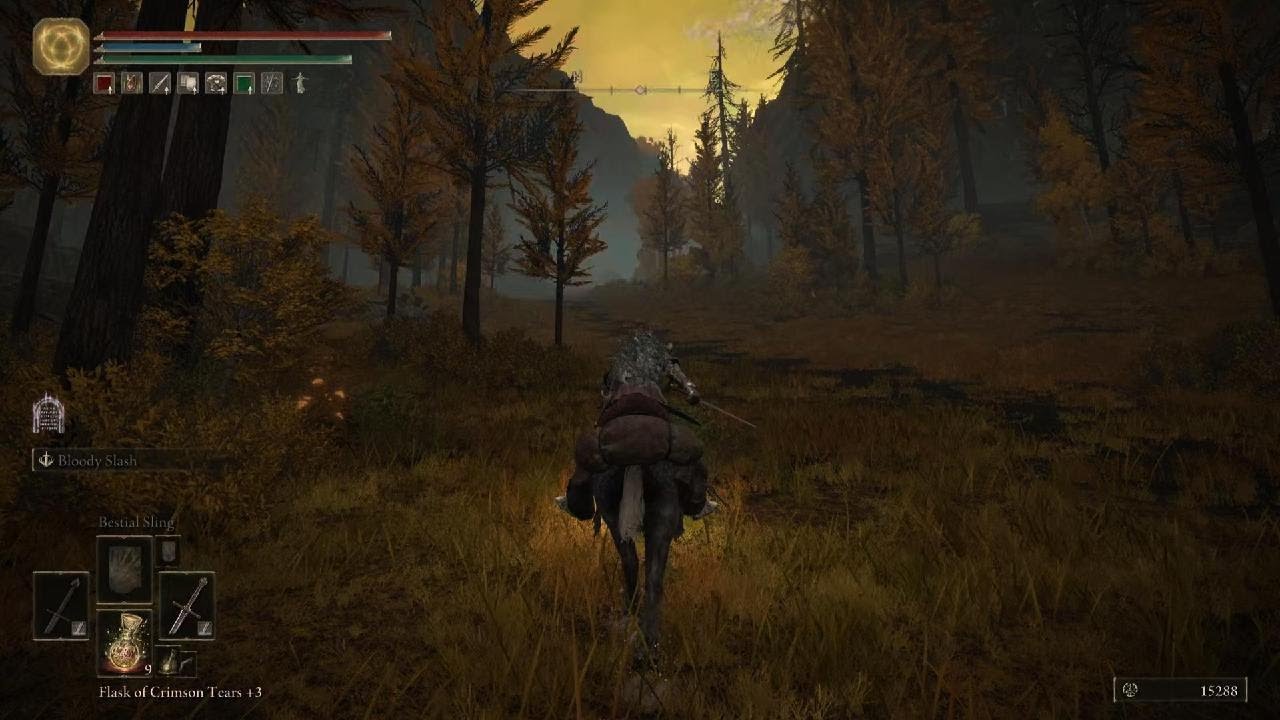 Elden Ring Nope Moment