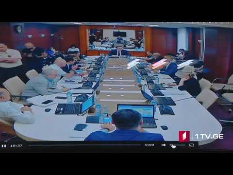 24.07.2019 ლევან თევზაძე, ილონა თოდუა, უჩა თოდუა