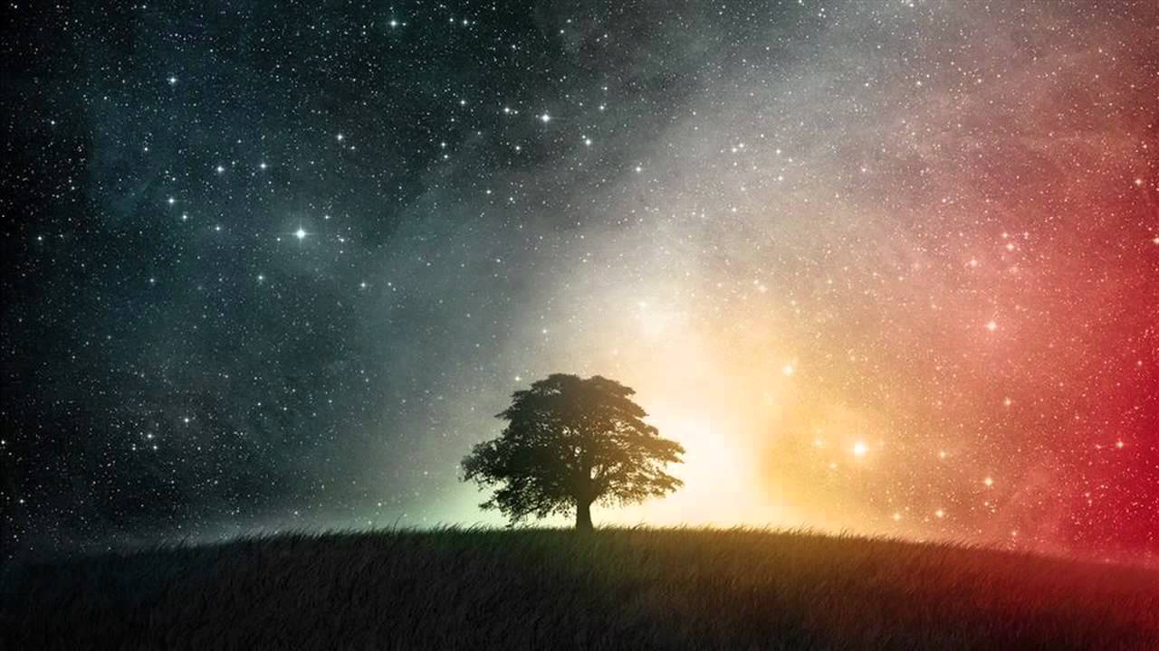 ⁣Garage Circus - Bulimic Orgy