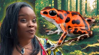 Once Upon A Time A Tadpole Became A Frog The Magical Life Cycle Of A Frog For Kids