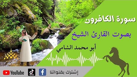 سورة الكافرون مكتوبة بصوت القارئ الشيخ (أبو محمد الشامي) للحفظ