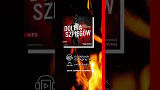 Dolina szpiegów - audiobook