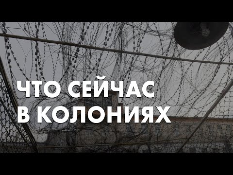 Зачем из колоний вывозят заключённых и что с ними будет? Комментарий Ольги Романовой
