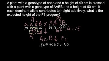 How to solve quantitative genetics problems