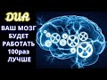 С ПОЗВОЛЕНИЯ АЛЛАХА!--ЭТО ДУА СДЕЛАЕТ ВАС ВАШ МОЗГ--УМНЫМ--БЫСТРЫМ! ИН ША АЛЛАХ!