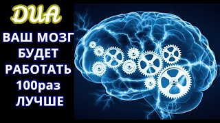 С ПОЗВОЛЕНИЯ АЛЛАХА!ЭТО ДУА СДЕЛАЕТ ВАС ВАШ МОЗГУМНЫМБЫСТРЫМ! ИН ША АЛЛАХ!