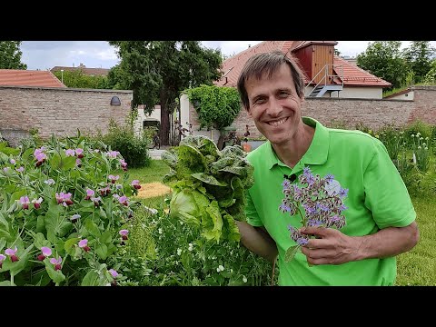 Video: Hoher Gemüsegarten. Wir Machen Ein Schüttbett